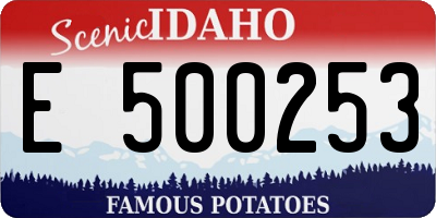 ID license plate E500253