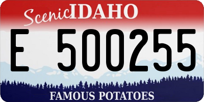 ID license plate E500255