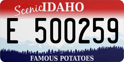 ID license plate E500259