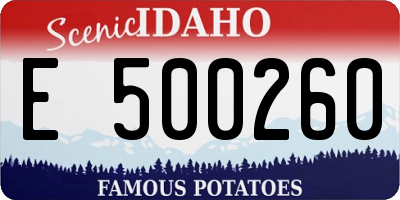 ID license plate E500260