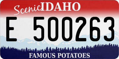 ID license plate E500263