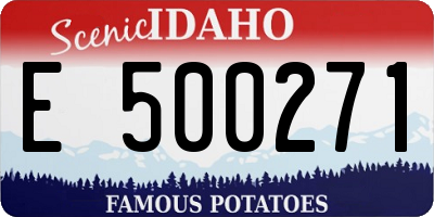 ID license plate E500271