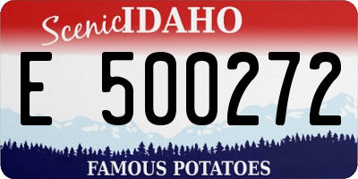 ID license plate E500272