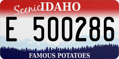 ID license plate E500286