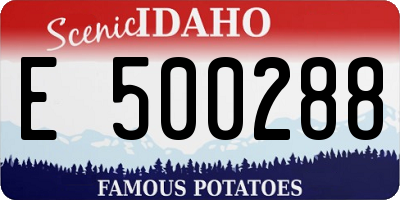 ID license plate E500288