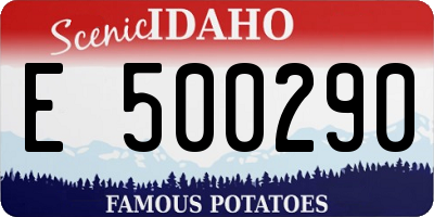 ID license plate E500290