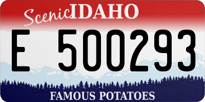 ID license plate E500293