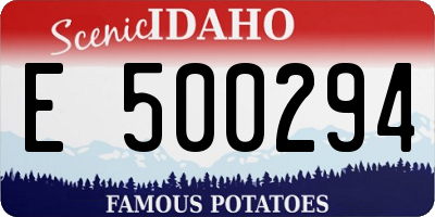 ID license plate E500294