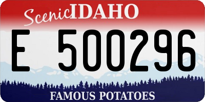 ID license plate E500296