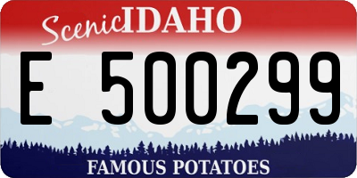 ID license plate E500299
