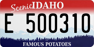 ID license plate E500310