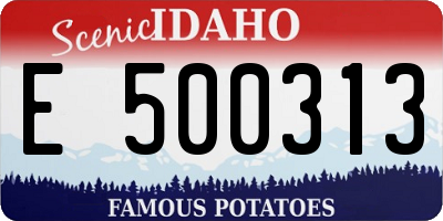 ID license plate E500313