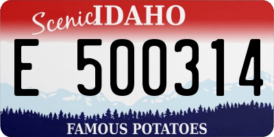 ID license plate E500314