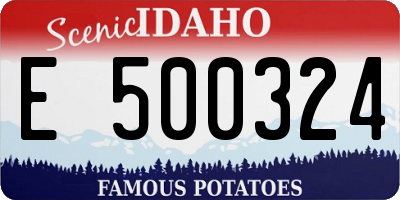 ID license plate E500324