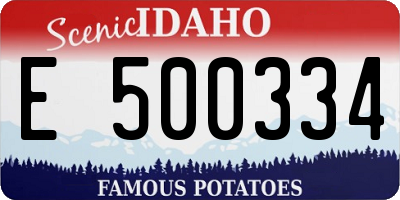 ID license plate E500334