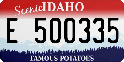 ID license plate E500335