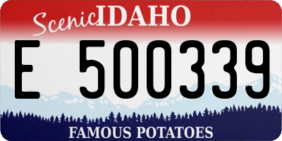 ID license plate E500339