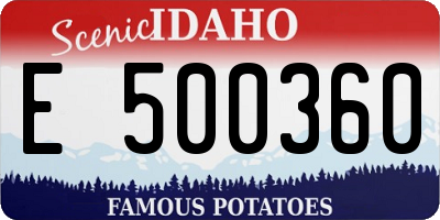 ID license plate E500360