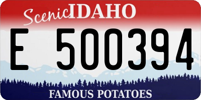ID license plate E500394
