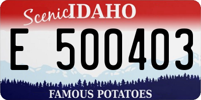 ID license plate E500403