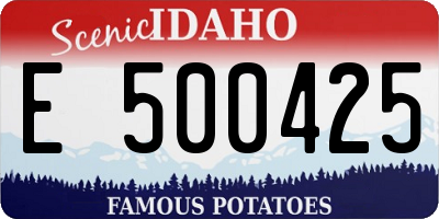ID license plate E500425