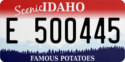 ID license plate E500445