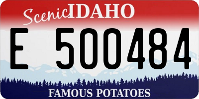 ID license plate E500484