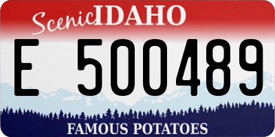 ID license plate E500489