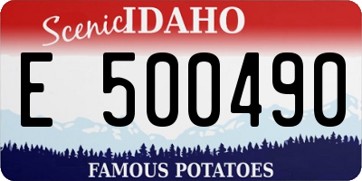 ID license plate E500490