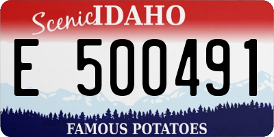 ID license plate E500491