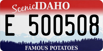 ID license plate E500508