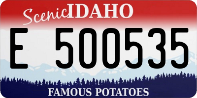 ID license plate E500535