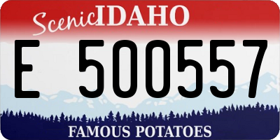 ID license plate E500557