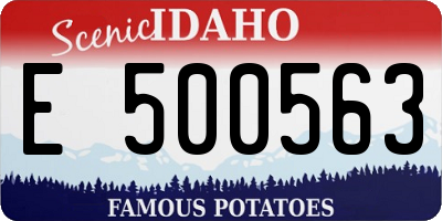 ID license plate E500563