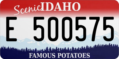 ID license plate E500575