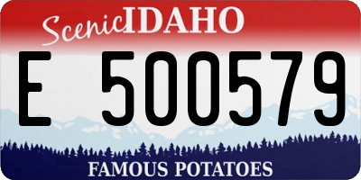 ID license plate E500579