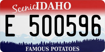 ID license plate E500596
