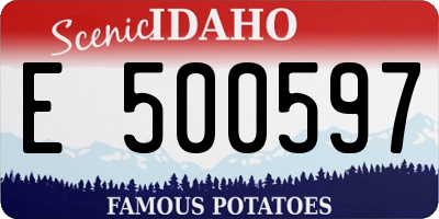 ID license plate E500597