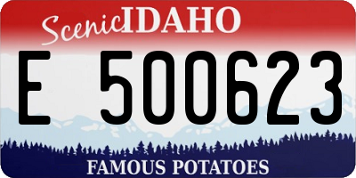 ID license plate E500623
