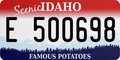 ID license plate E500698