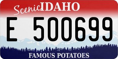 ID license plate E500699