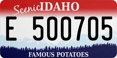 ID license plate E500705