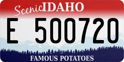 ID license plate E500720