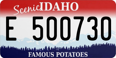 ID license plate E500730