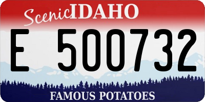 ID license plate E500732