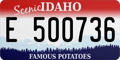 ID license plate E500736