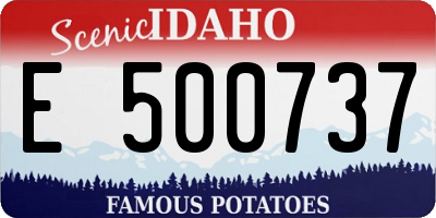 ID license plate E500737