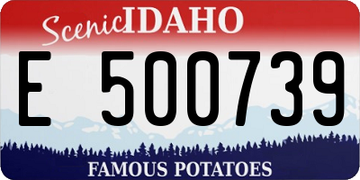 ID license plate E500739