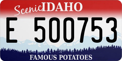 ID license plate E500753