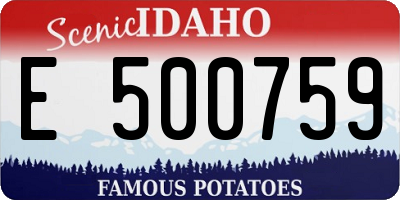 ID license plate E500759